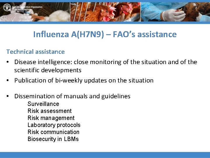 Influenza A(H 7 N 9) – FAO’s assistance Technical assistance • Disease intelligence: close