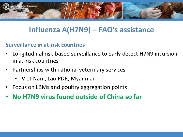 Influenza A(H 7 N 9) – FAO’s assistance Surveillance in at-risk countries • Longitudinal