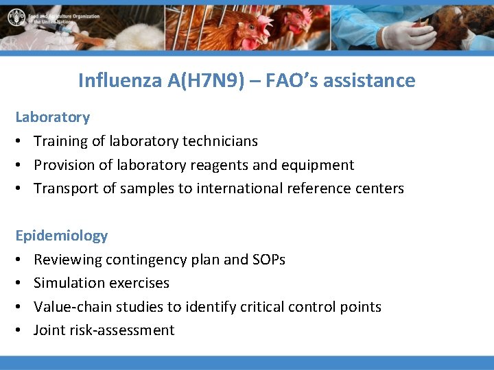 Influenza A(H 7 N 9) – FAO’s assistance Laboratory • Training of laboratory technicians