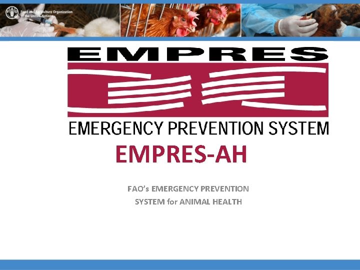 EMPRES-AH FAO’s EMERGENCY PREVENTION SYSTEM for ANIMAL HEALTH 