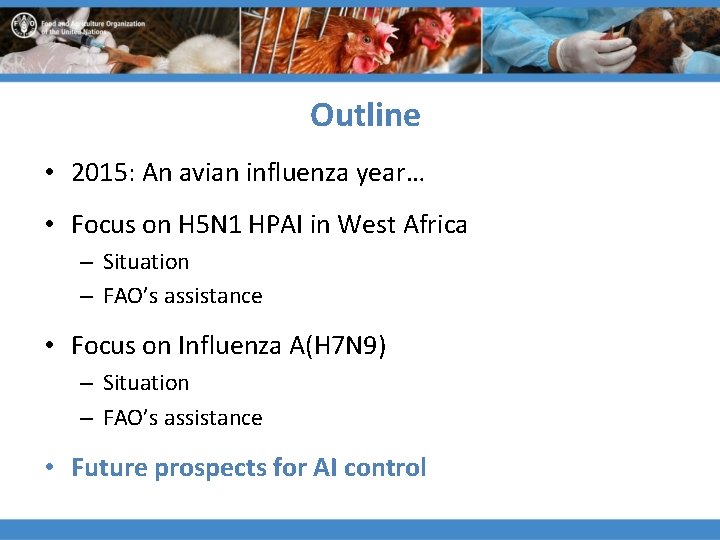 Outline • 2015: An avian influenza year… • Focus on H 5 N 1