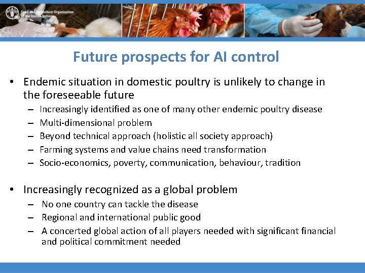 Future prospects for AI control • Endemic situation in domestic poultry is unlikely to