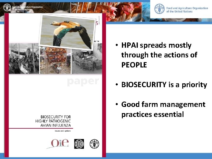  • HPAI spreads mostly through the actions of PEOPLE • BIOSECURITY is a