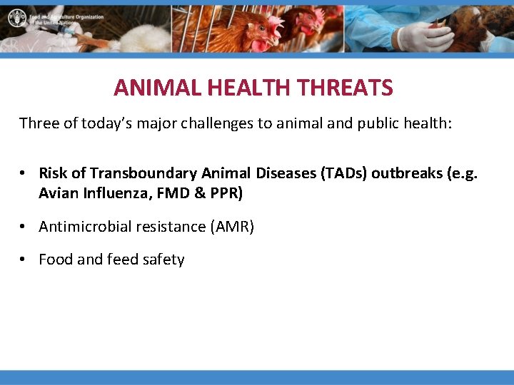 ANIMAL HEALTH THREATS Three of today’s major challenges to animal and public health: •