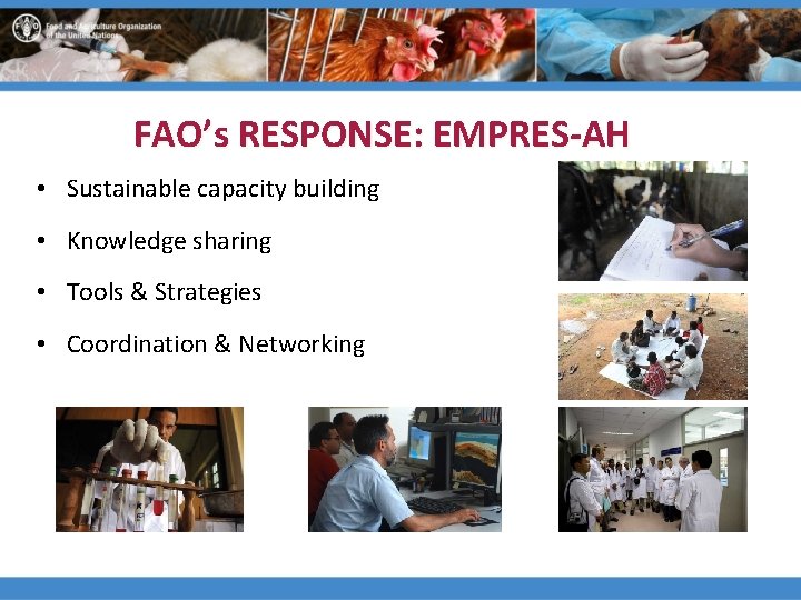 FAO’s RESPONSE: EMPRES-AH • Sustainable capacity building • Knowledge sharing • Tools & Strategies