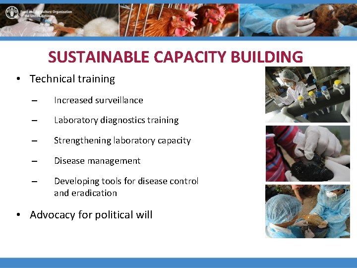 SUSTAINABLE CAPACITY BUILDING • Technical training – Increased surveillance – Laboratory diagnostics training –