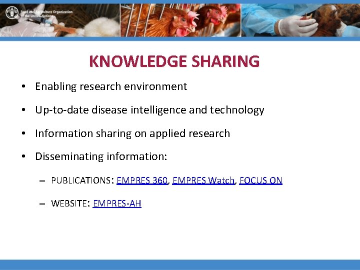 KNOWLEDGE SHARING • Enabling research environment • Up-to-date disease intelligence and technology • Information