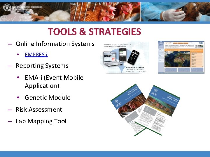 TOOLS & STRATEGIES – Online Information Systems • EMPRES-i – Reporting Systems • EMA-i