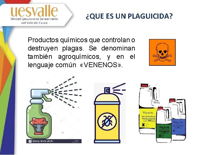 ¿QUE ES UN PLAGUICIDA? Productos químicos que controlan o destruyen plagas. Se denominan también