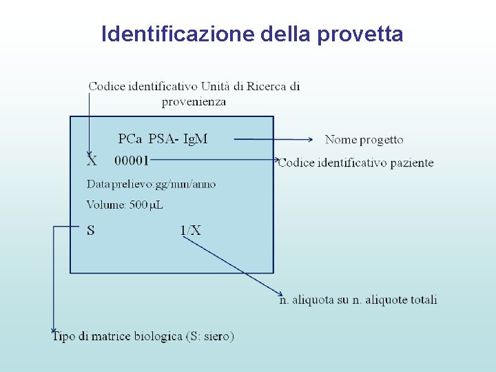 Identificazione della provetta 