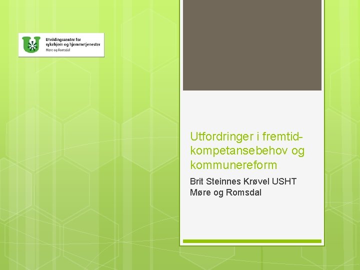 Utfordringer i fremtidkompetansebehov og kommunereform Brit Steinnes Krøvel USHT Møre og Romsdal 