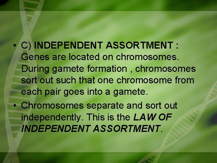 • C) INDEPENDENT ASSORTMENT : Genes are located on chromosomes. During gamete formation