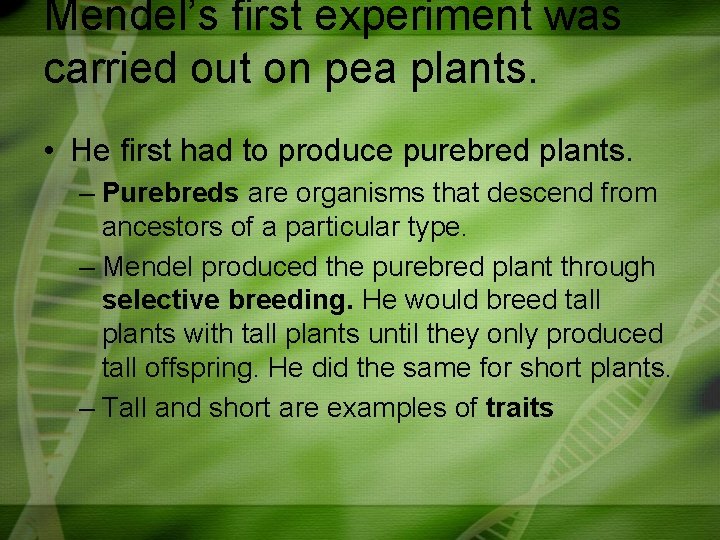 Mendel’s first experiment was carried out on pea plants. • He first had to