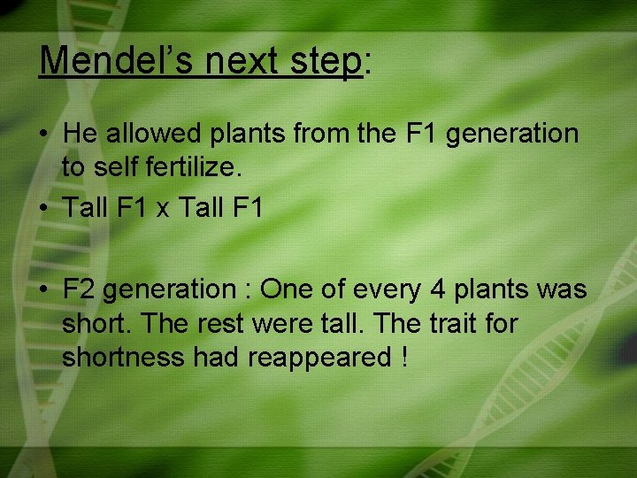 Mendel’s next step: • He allowed plants from the F 1 generation to self