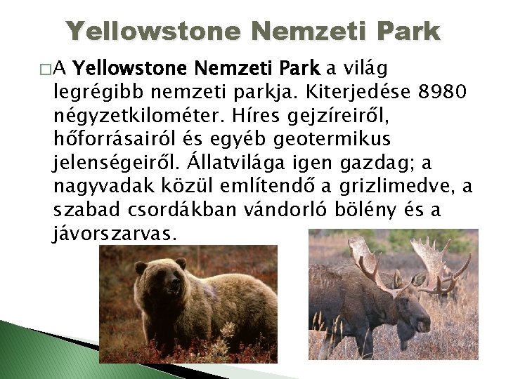 Yellowstone Nemzeti Park �A Yellowstone Nemzeti Park a világ legrégibb nemzeti parkja. Kiterjedése 8980