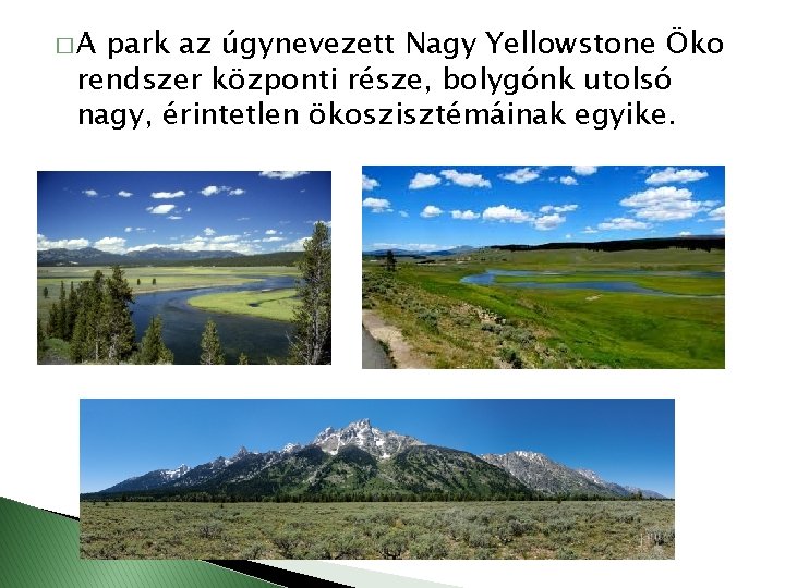 �A park az úgynevezett Nagy Yellowstone Öko rendszer központi része, bolygónk utolsó nagy, érintetlen