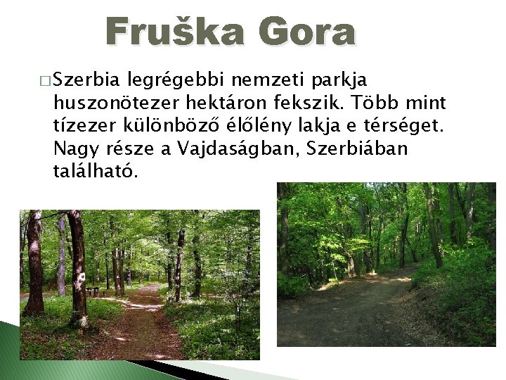 Fruška Gora � Szerbia legrégebbi nemzeti parkja huszonötezer hektáron fekszik. Több mint tízezer különböző