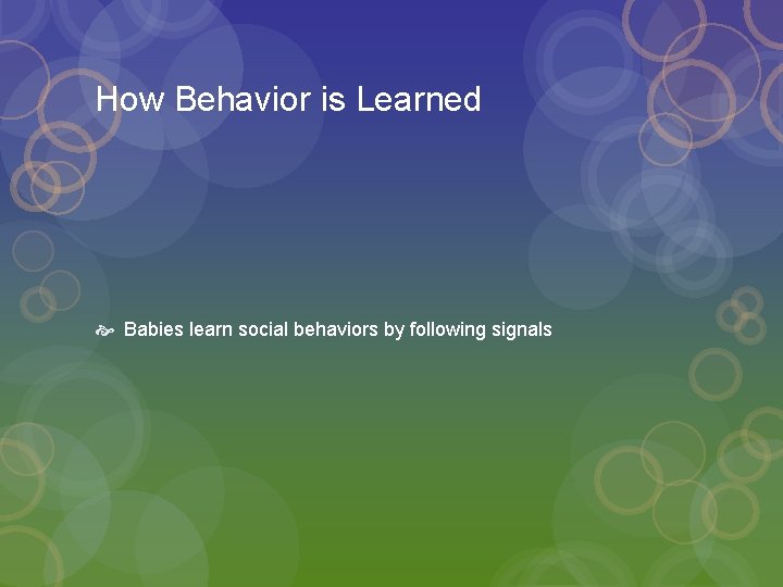 How Behavior is Learned Babies learn social behaviors by following signals 