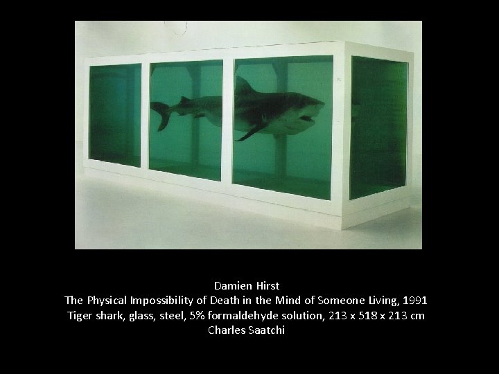 Damien Hirst The Physical Impossibility of Death in the Mind of Someone Living, 1991