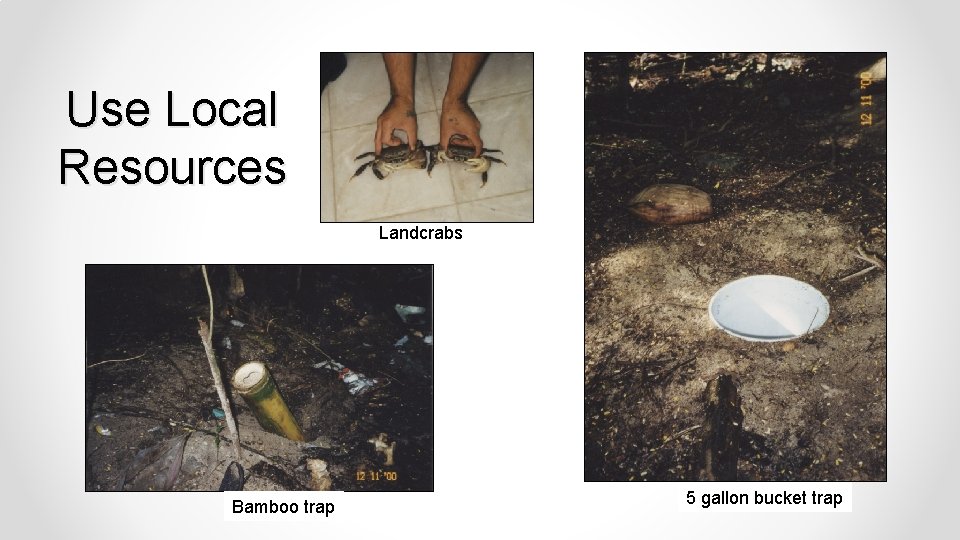 Use Local Resources Landcrabs Bamboo trap 5 gallon 16 bucket trap 