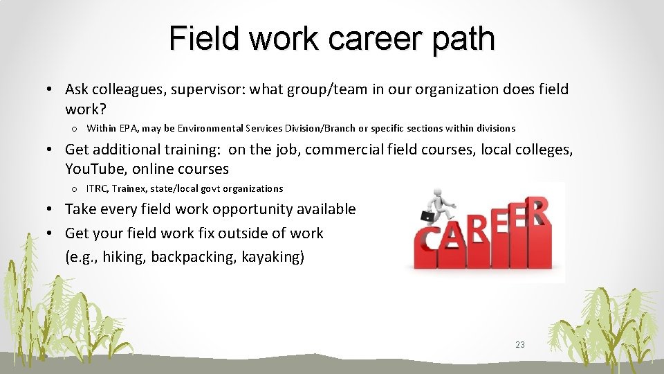 Field work career path • Ask colleagues, supervisor: what group/team in our organization does