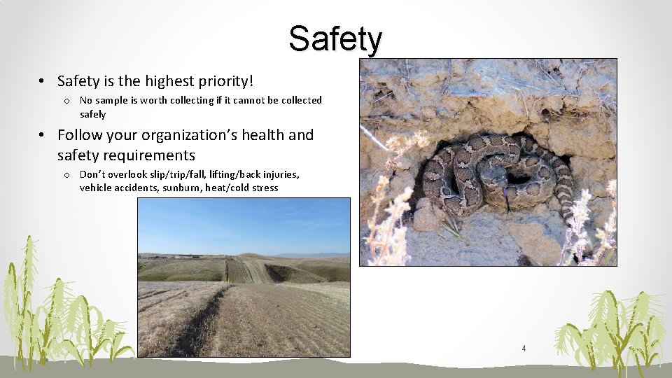 Safety • Safety is the highest priority! o No sample is worth collecting if