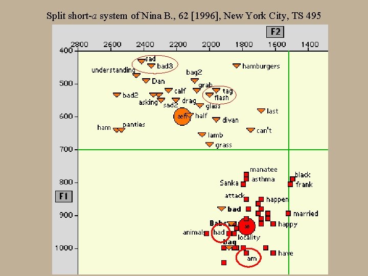 Split short-a system of Nina B. , 62 [1996], New York City, TS 495