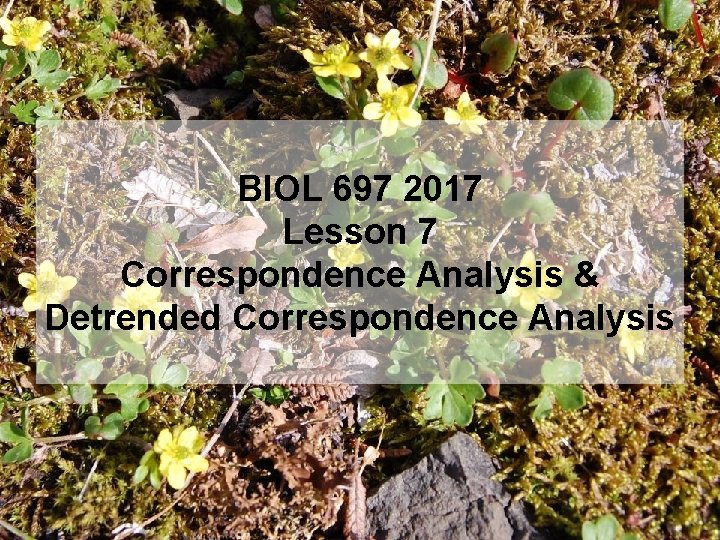 BIOL 697 2017 Lesson 7 Correspondence Analysis & Detrended Correspondence Analysis 