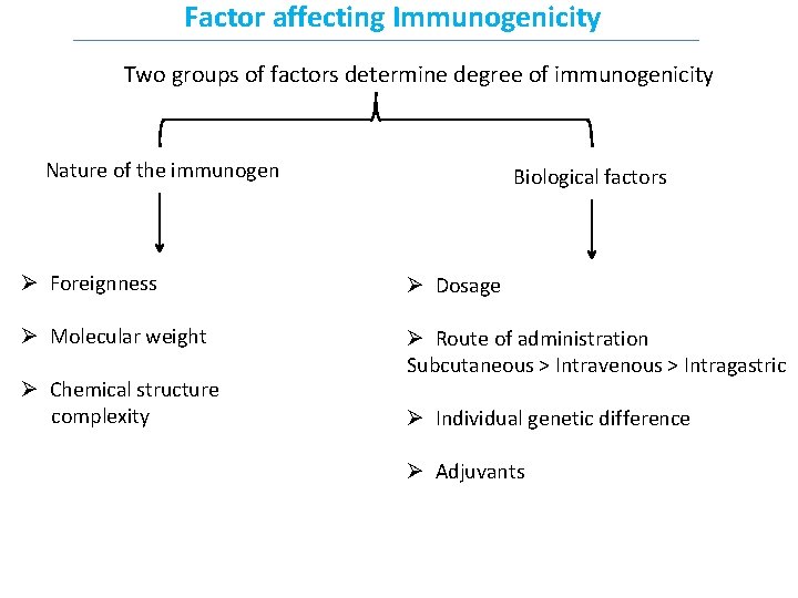 Factor affecting Immunogenicity Two groups of factors determine degree of immunogenicity Nature of the