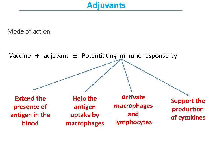 Adjuvants Mode of action Vaccine + adjuvant Extend the presence of antigen in the
