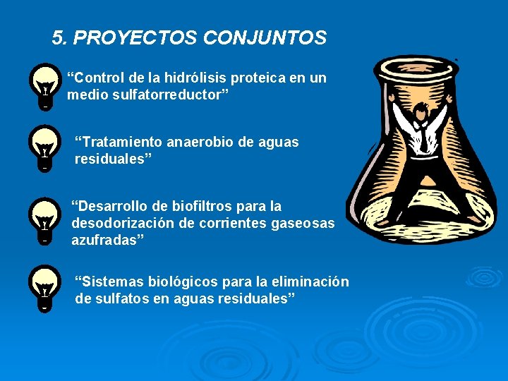 5. PROYECTOS CONJUNTOS “Control de la hidrólisis proteica en un medio sulfatorreductor” “Tratamiento anaerobio