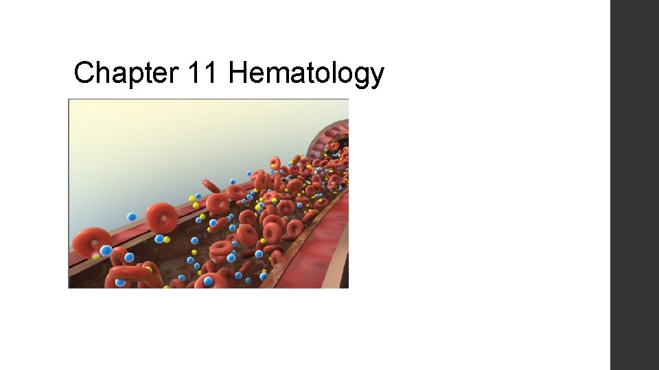 Chapter 11 Hematology 