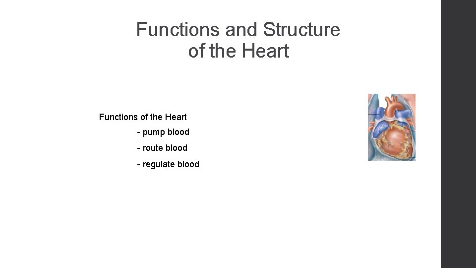 Functions and Structure of the Heart Functions of the Heart - pump blood -