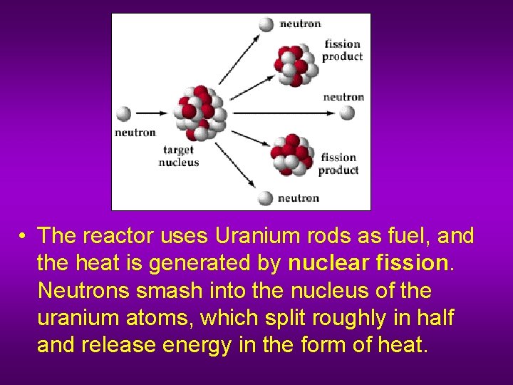  • The reactor uses Uranium rods as fuel, and the heat is generated