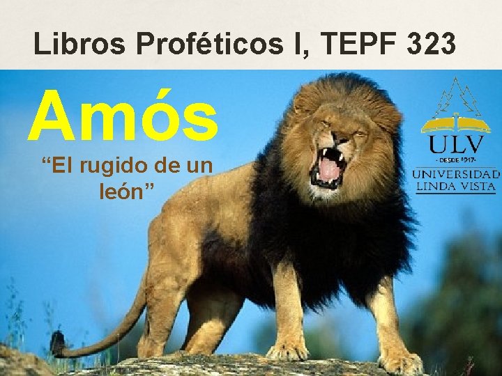 Libros Proféticos I, TEPF 323 Amós “El rugido de un león” 