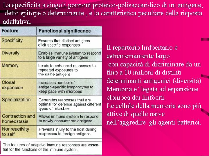 La specificità a singoli porzioni proteico-polisaccaridico di un antigene, detto epitope o determinante ,