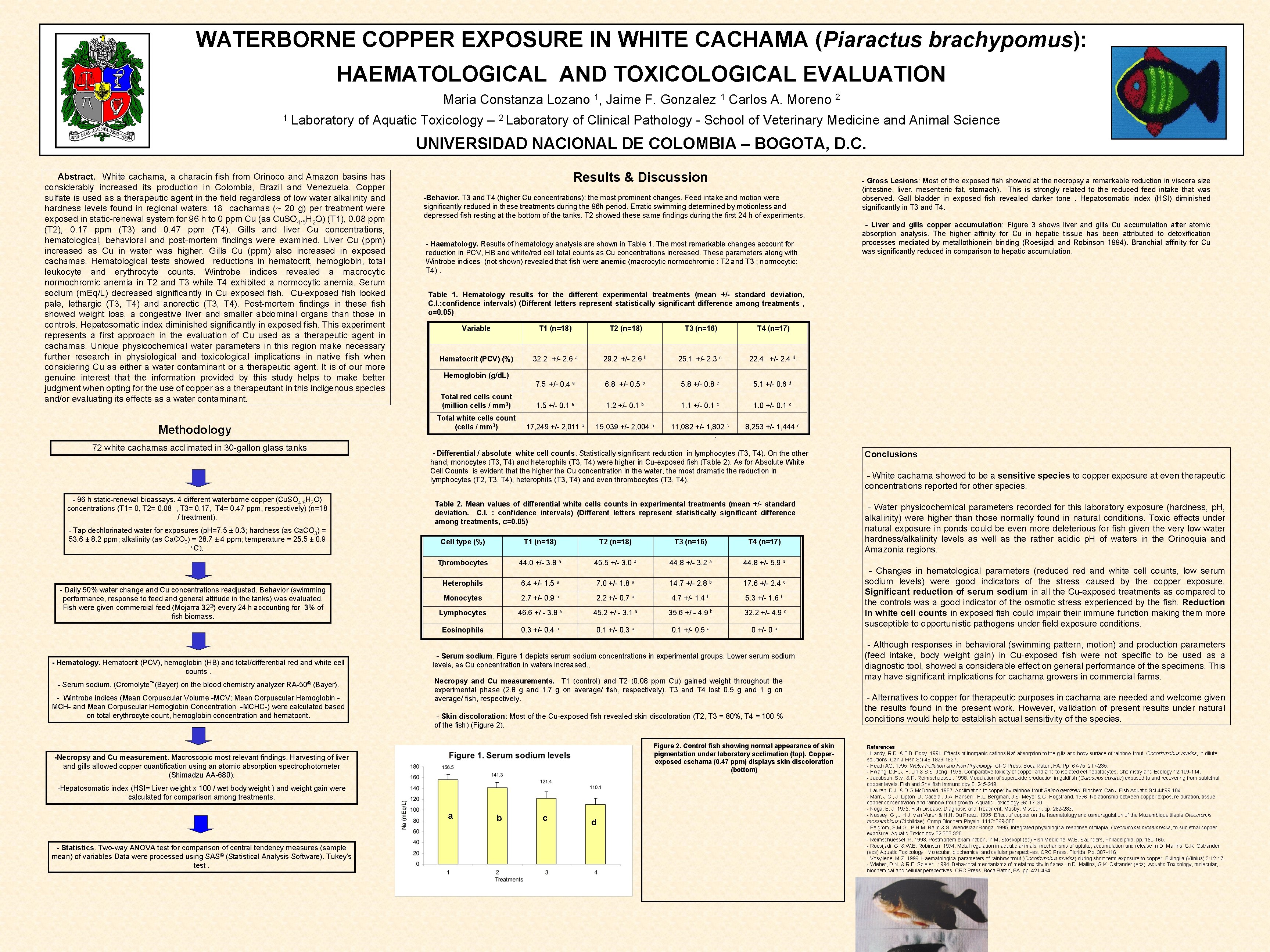 WATERBORNE COPPER EXPOSURE IN WHITE CACHAMA (Piaractus brachypomus): HAEMATOLOGICAL AND TOXICOLOGICAL EVALUATION Maria Constanza