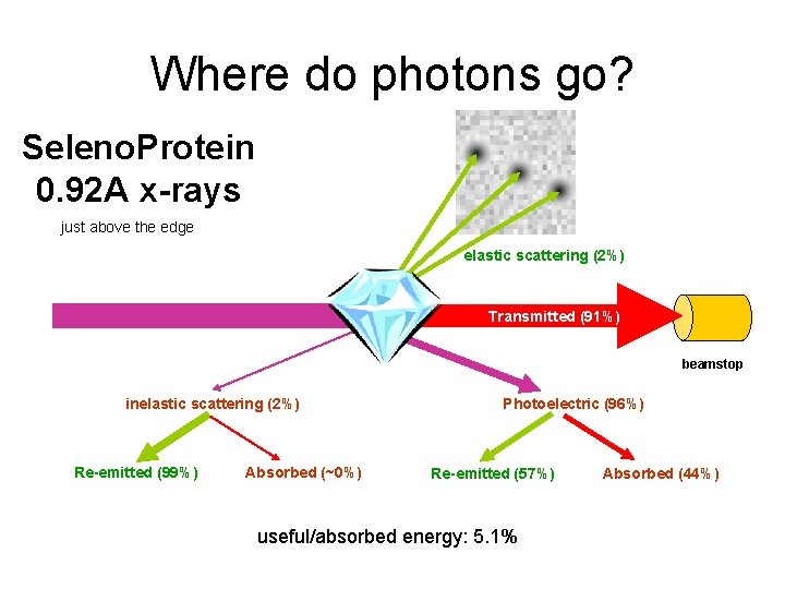 Where do photons go? Seleno. Protein 0. 92 A x-rays just above the edge