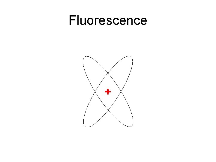 Fluorescence + 