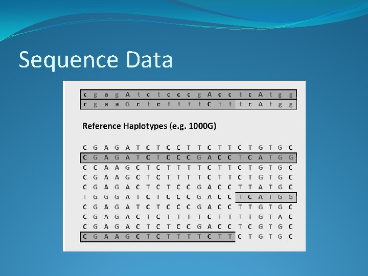 Sequence Data 