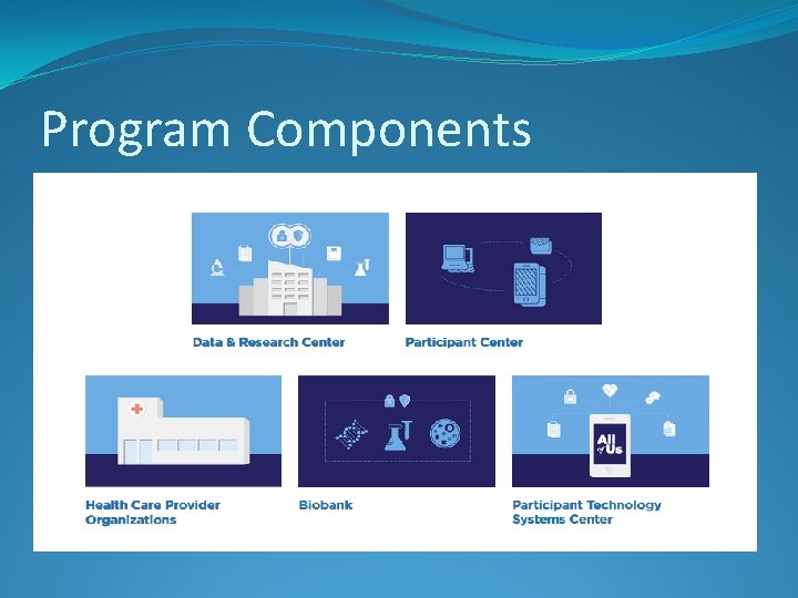 Program Components 