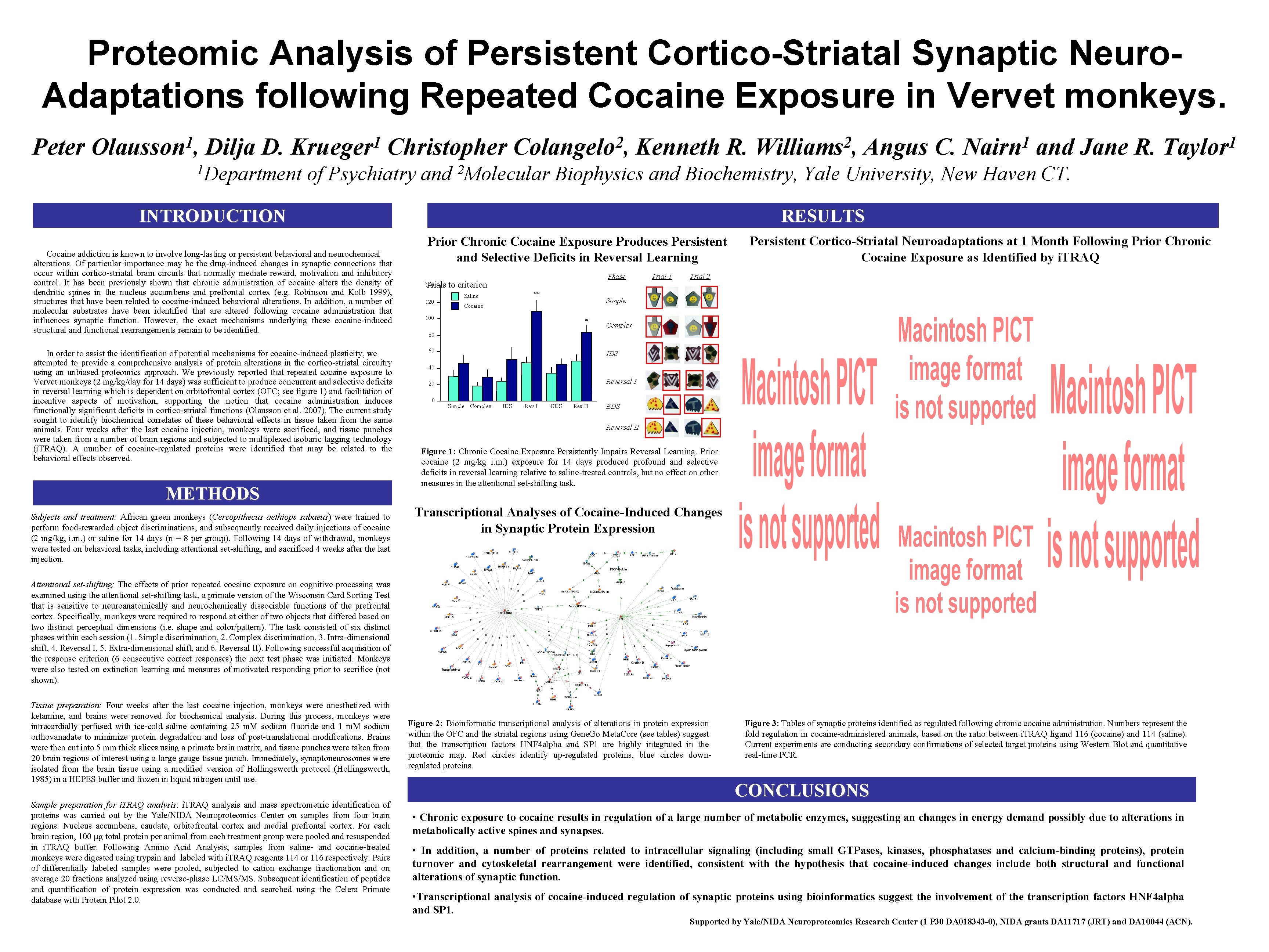 Proteomic Analysis of Persistent Cortico-Striatal Synaptic Neuro. Adaptations following Repeated Cocaine Exposure in Vervet