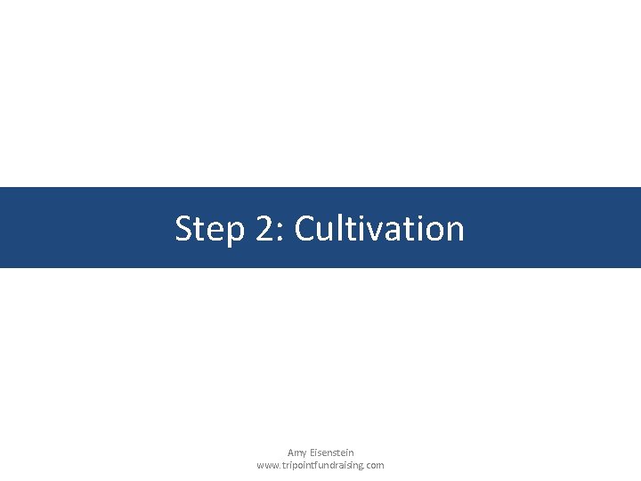 Step 2: Cultivation Amy Eisenstein www. tripointfundraising. com 