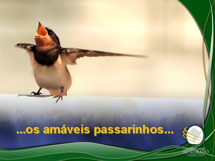 . . . os amáveis passarinhos. . . 