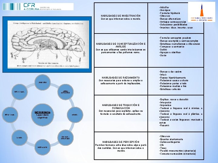 HABILIDADES DE INVESTIGACIÓN Son as que informan sobre o mundo. HABILIDADES DE CONCEPTUALIZACIÓN E