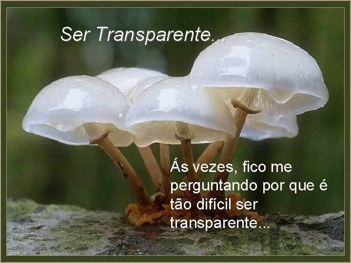 Ser Transparente. . . Ás vezes, fico me perguntando por que é tão difícil