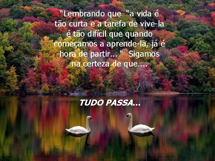 “Lembrando que “a vida é tão curta e a tarefa de vive-la é tão