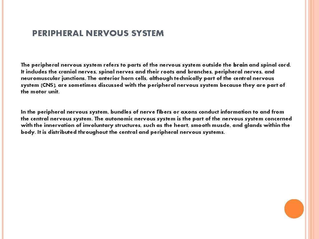PERIPHERAL NERVOUS SYSTEM The peripheral nervous system refers to parts of the nervous system
