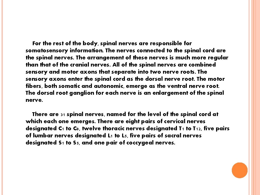 For the rest of the body, spinal nerves are responsible for somatosensory information. The