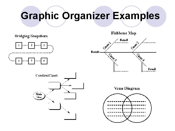 Graphic Organizer Examples 